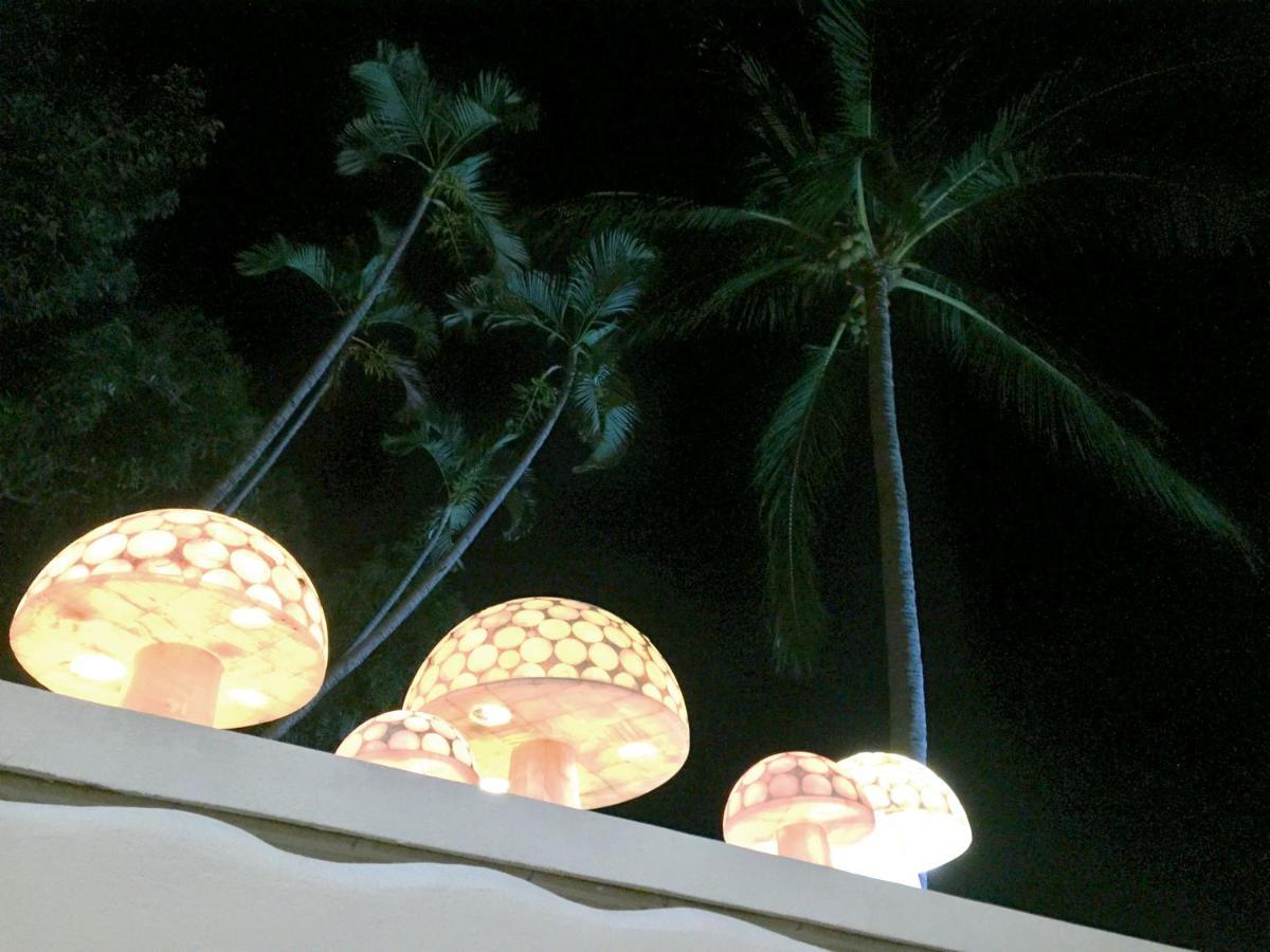 Villa Palmitas Acogedor Departamento Nivel Piscina Gigante Jardines 阿卡普尔科 外观 照片