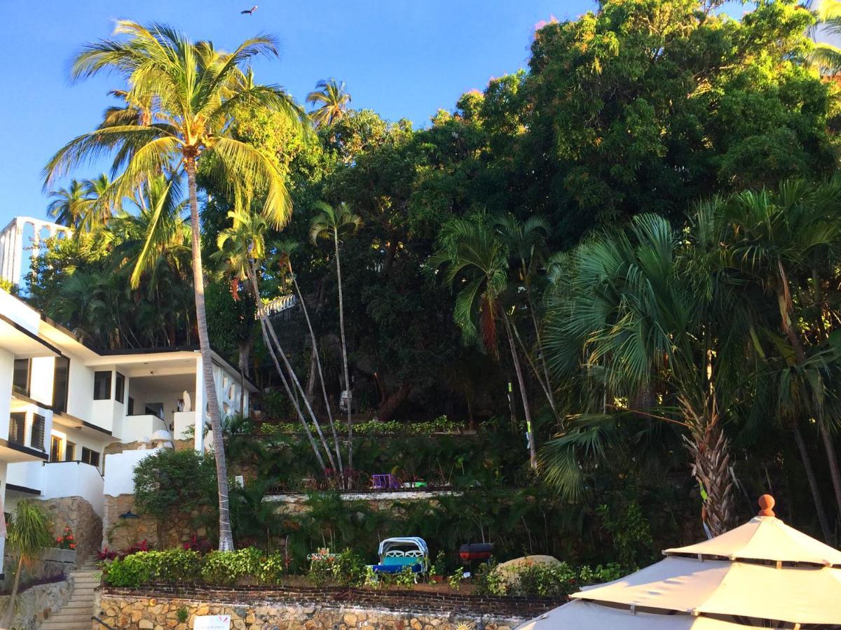 Villa Palmitas Acogedor Departamento Nivel Piscina Gigante Jardines 阿卡普尔科 外观 照片