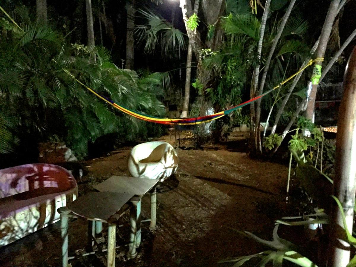Villa Palmitas Acogedor Departamento Nivel Piscina Gigante Jardines 阿卡普尔科 外观 照片